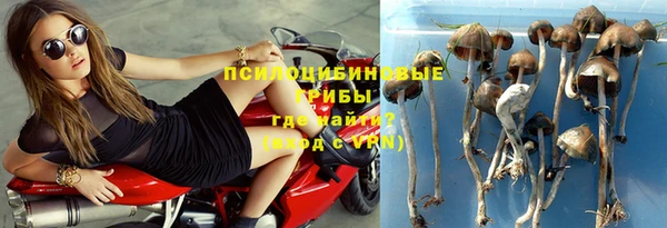 бошки Алексин